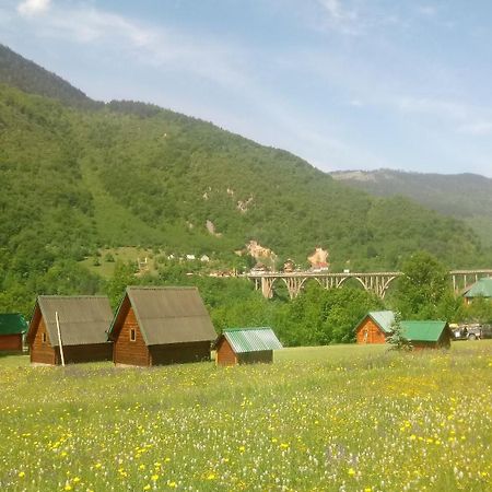 فيلا Kamp Rafting Kljajevica Luka بلييفليا الغرفة الصورة