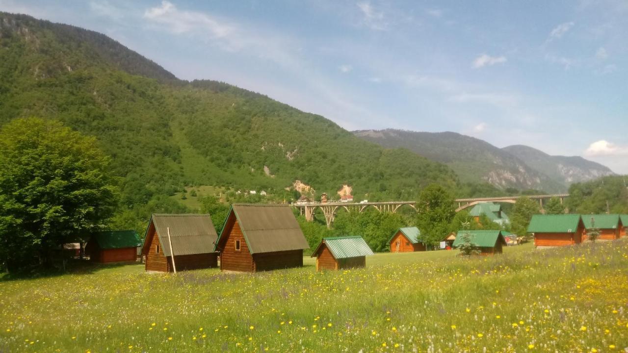 فيلا Kamp Rafting Kljajevica Luka بلييفليا المظهر الخارجي الصورة