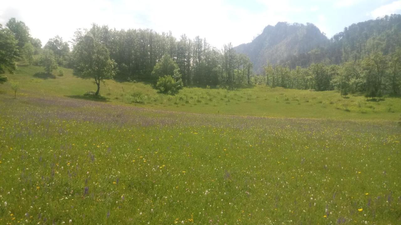 فيلا Kamp Rafting Kljajevica Luka بلييفليا المظهر الخارجي الصورة